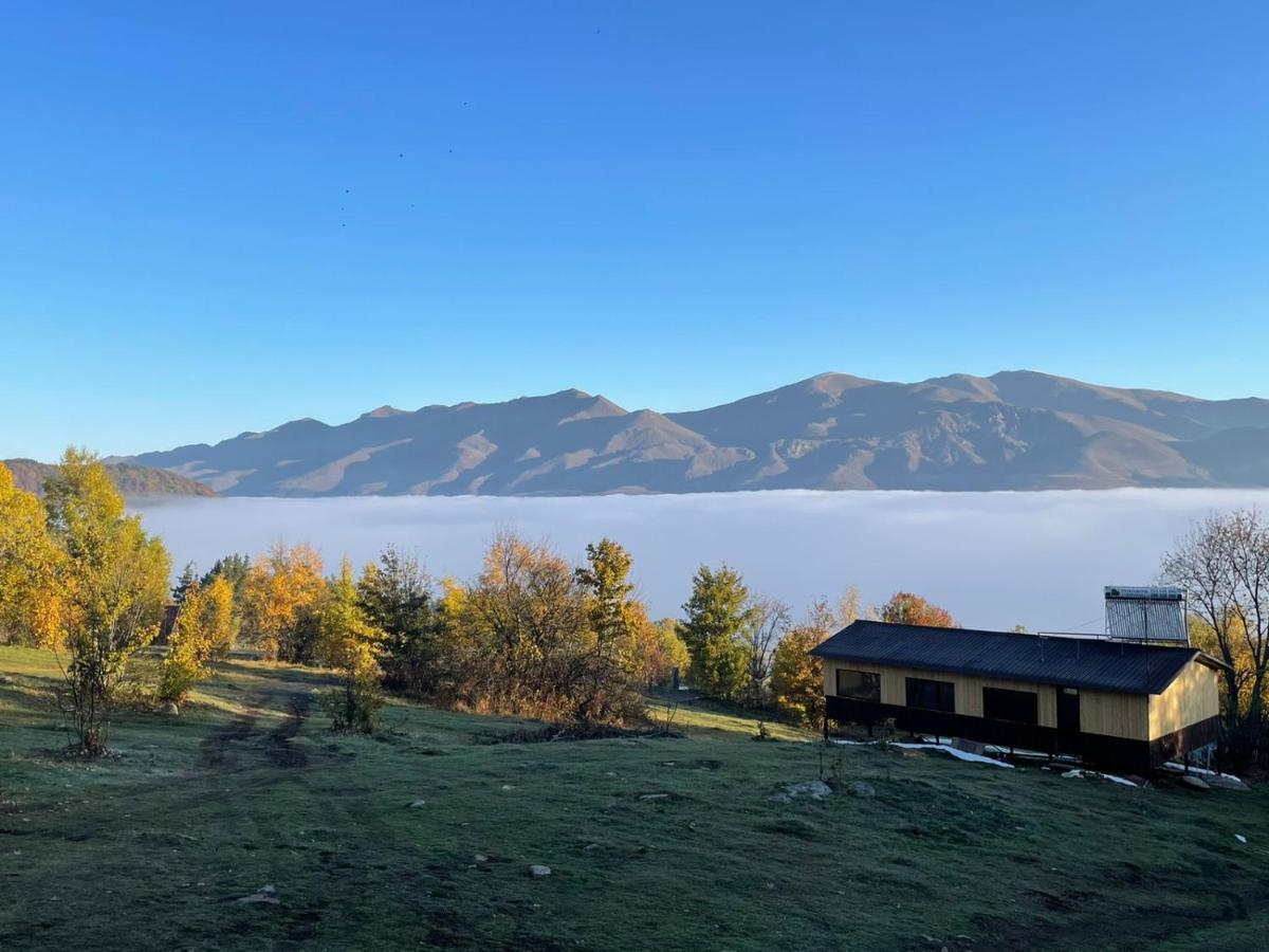 Glamping Wolf Mount Villa Margahovit Værelse billede
